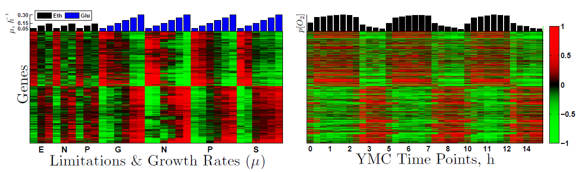 Growth-limiting intracellular metabolites in yeast growing under diverse nutrient limitations.