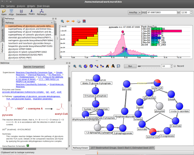 download rb and tumorigenesis medical intelligence unit